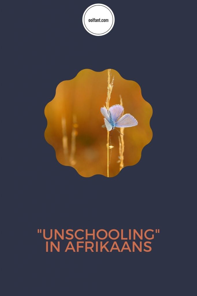 'Unschooling' in Afrikaans: Kan jy jou kinders in Afrikaans tuisskool sonder ’n formele kurrikulumverskaffer? Watter hulpbronne is beskikbaar?